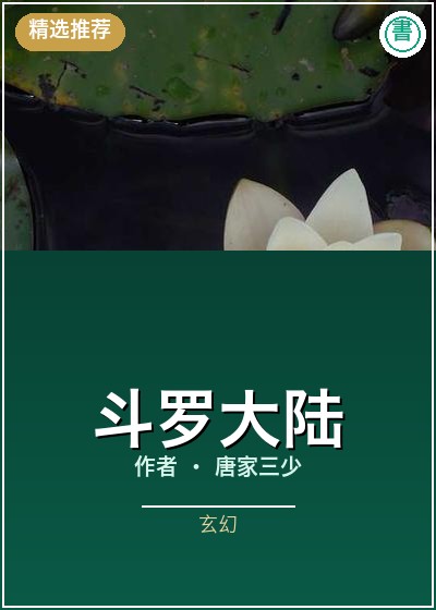 《斗罗大陆》书封示意图